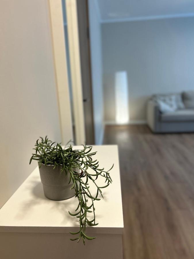 Skandi Appartments In Saldus City Center Buitenkant foto