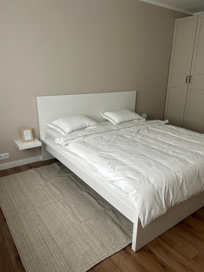 Skandi Appartments In Saldus City Center Buitenkant foto